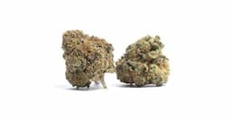 KUSH COOKIES