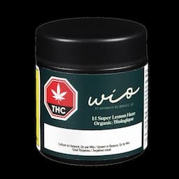 Super Lemon Haze Biologique