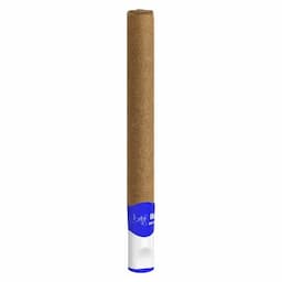 Laid Bacc Infused Blunt 2g