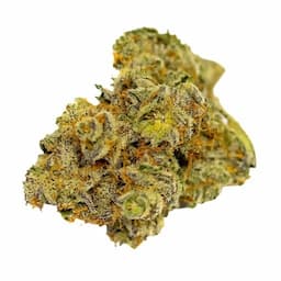 MANDARIN COOKIES 2ND CUT