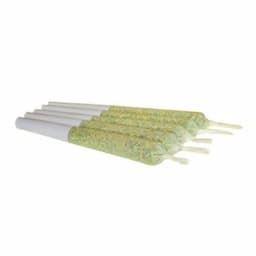 Ponderosa Pine 0.5g