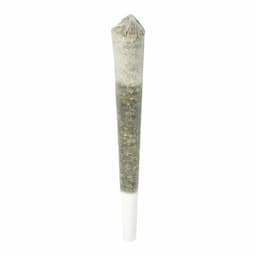 Layer J 0.5g
