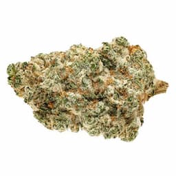 Kush God