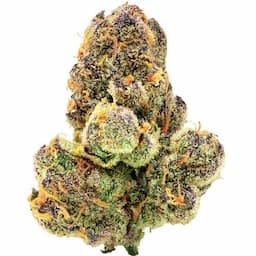 Green Monster Breath