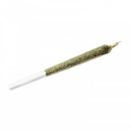 Jean Guy Pre-Roll 0.5g