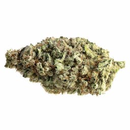 Blueberry Bliss