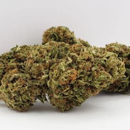Day Dreamin Infused CBD