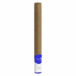 Juicy OooWeee Infused Blunt 1g