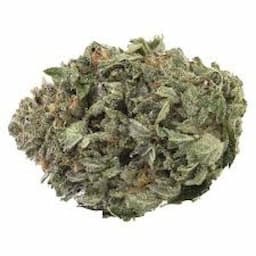 BC Organic Fire OG