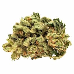 Starwalker Kush