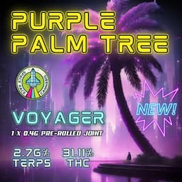 Voyager 0.4g