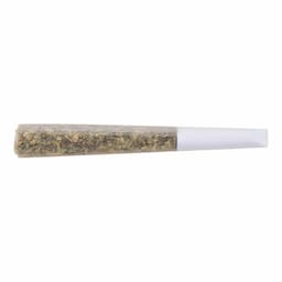 GOLD SEAL HASH SNAKE INFUSED BLUNT 0.5g