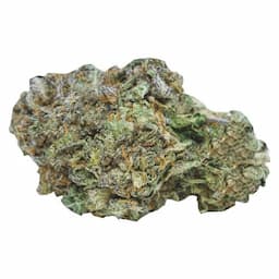 Ontario's Own Sativa