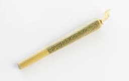 Gastro Pop 0.5g
