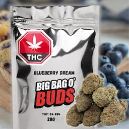 Blueberry Dream