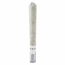 Animal Sundae Glass Tip 1g