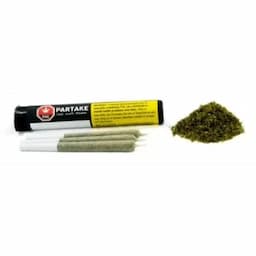 Punch Mints 0.5g