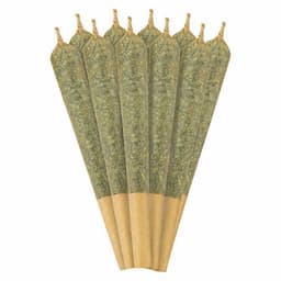 SATIVA 20% PLUS 0.5g