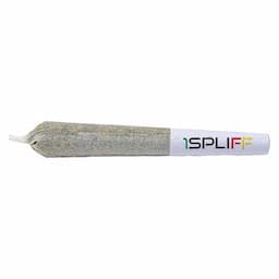 Pineapplex 0.5g