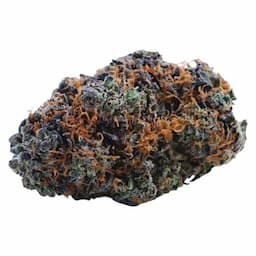 Alaskan Thunder