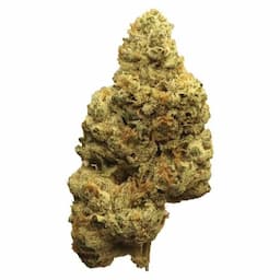 Ghost Banner 0.5g