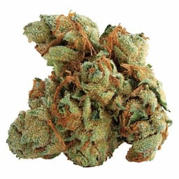 Tangerine Twist