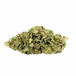 Nostalgia Craft Hemp