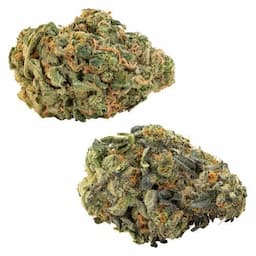 Comboz: Ultra Sour + Tropical Cookies