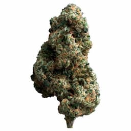 Cherry Diesel