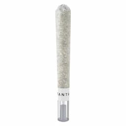 OG Platinum Mints Glass Tip 1g