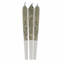 Blueberry Seagal Pre-Rolls 0.5g