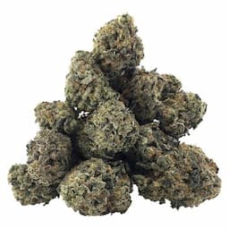 Choice Indica