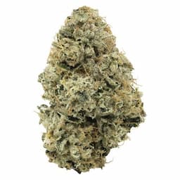 BC Organic Power Mintz