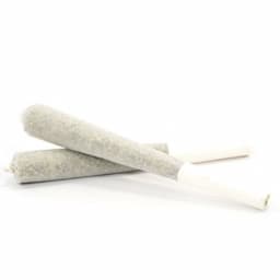 Indica 1g