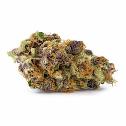 Tangerine Dream