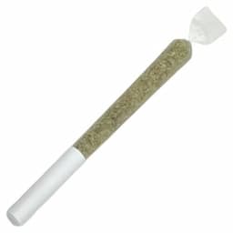Citrus 0.5g