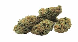 Gorilla Zkittlez