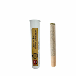 Gastro Pop 0.5g